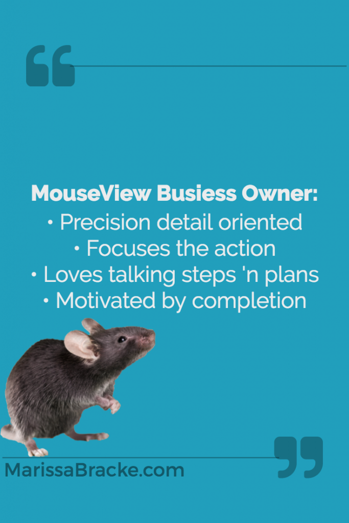 MouseView Business Owners