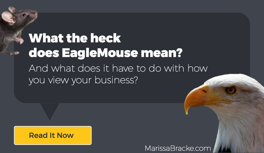 What the heck does EagleMouse mean?