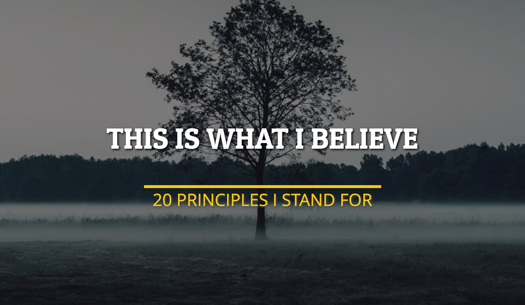 This Is What I Believe: 20 Principles I Stand For